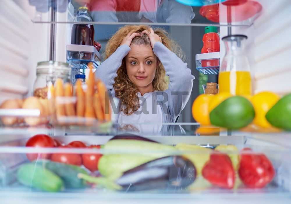 Upgrading Your Kitchen Appliances: What to Consider | Nilima Shops